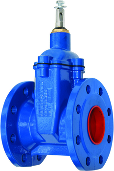 BOHAMET-ARMATURA Zasuwa do wody kołnierzowa F4 DN50 krótka bez kółka, PN16