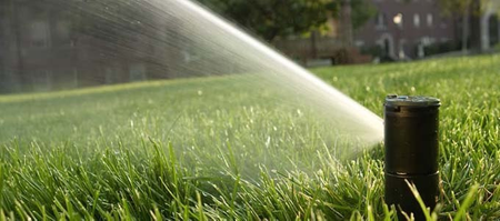 Rain Bird Zraszacz wynurzalny tworzywo sztuczne 1" GW 50°-330°+360° czarny type 8005