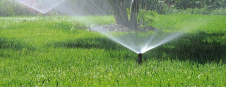 Rain Bird Zraszacz wynurzalny tworzywo sztuczne 3/4" GW 40°-360° type 5004-PC-SAM-R-SS z rurą pionową